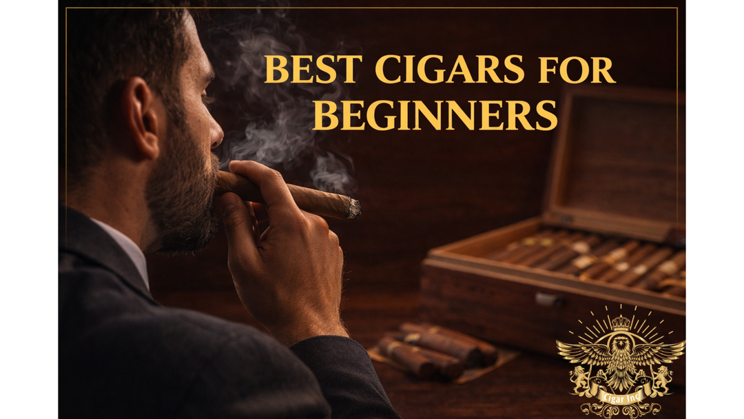 Best Cigars for Beginners: What to Smoke First