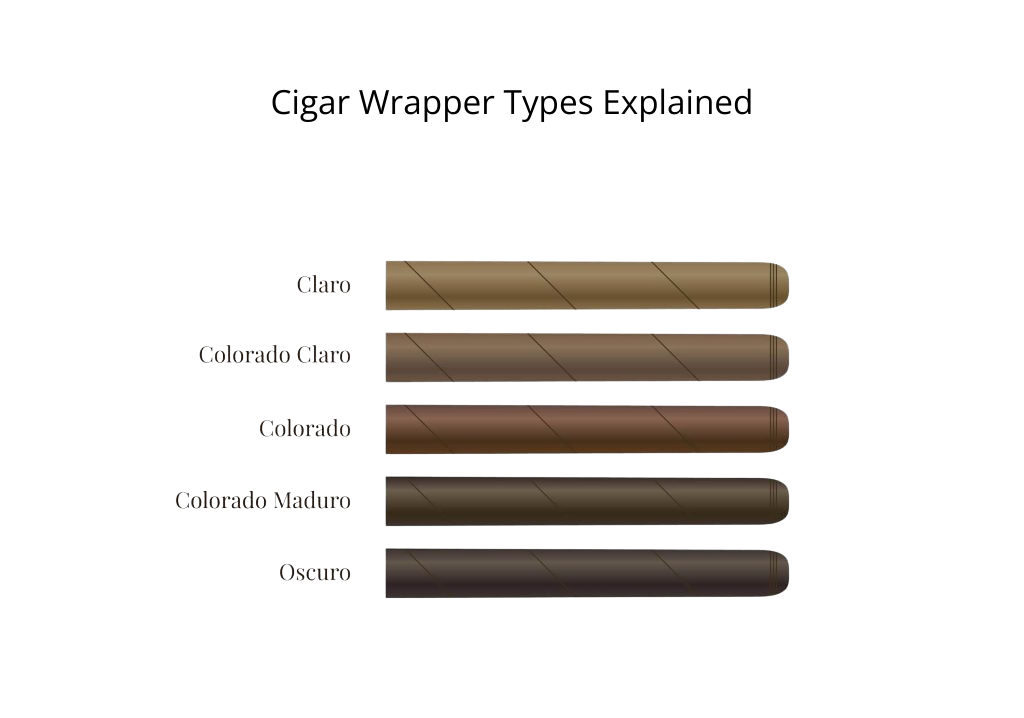 Cigar Wrapper Types Explained: How the Wrapper Shapes Flavor and Experience