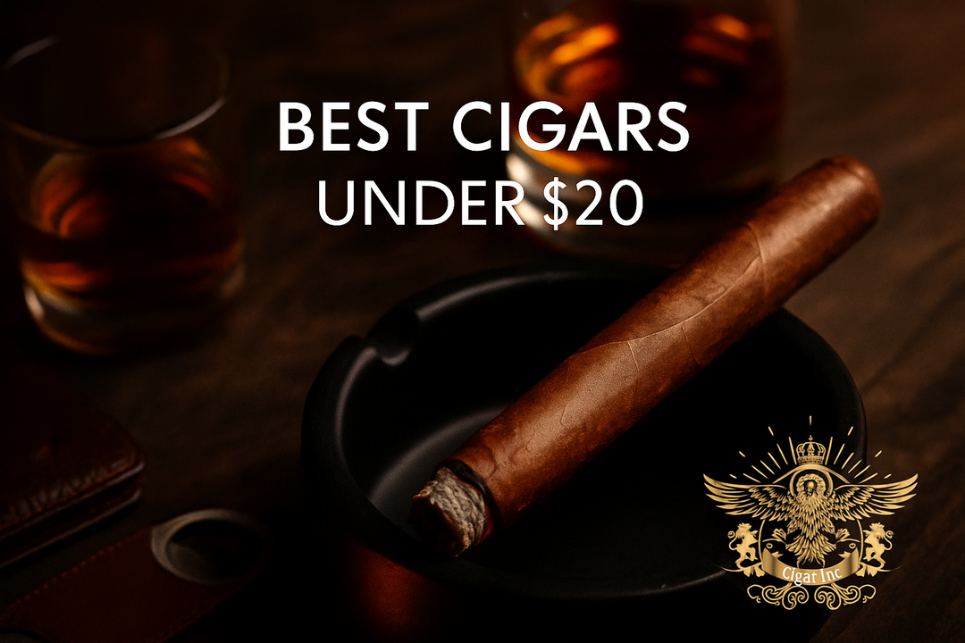 The Best Cigars Under $20 (Part 2)