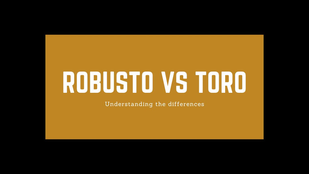 Robusto vs Toro Cigars: Size, Flavor & Smoking Time