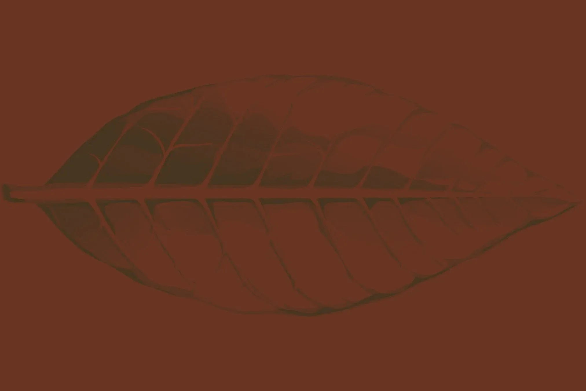 Colorado Cigars - Cigar Inc