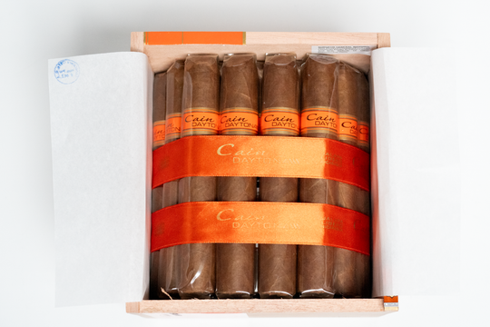 Cain Daytona Double Toro (6 x 60)