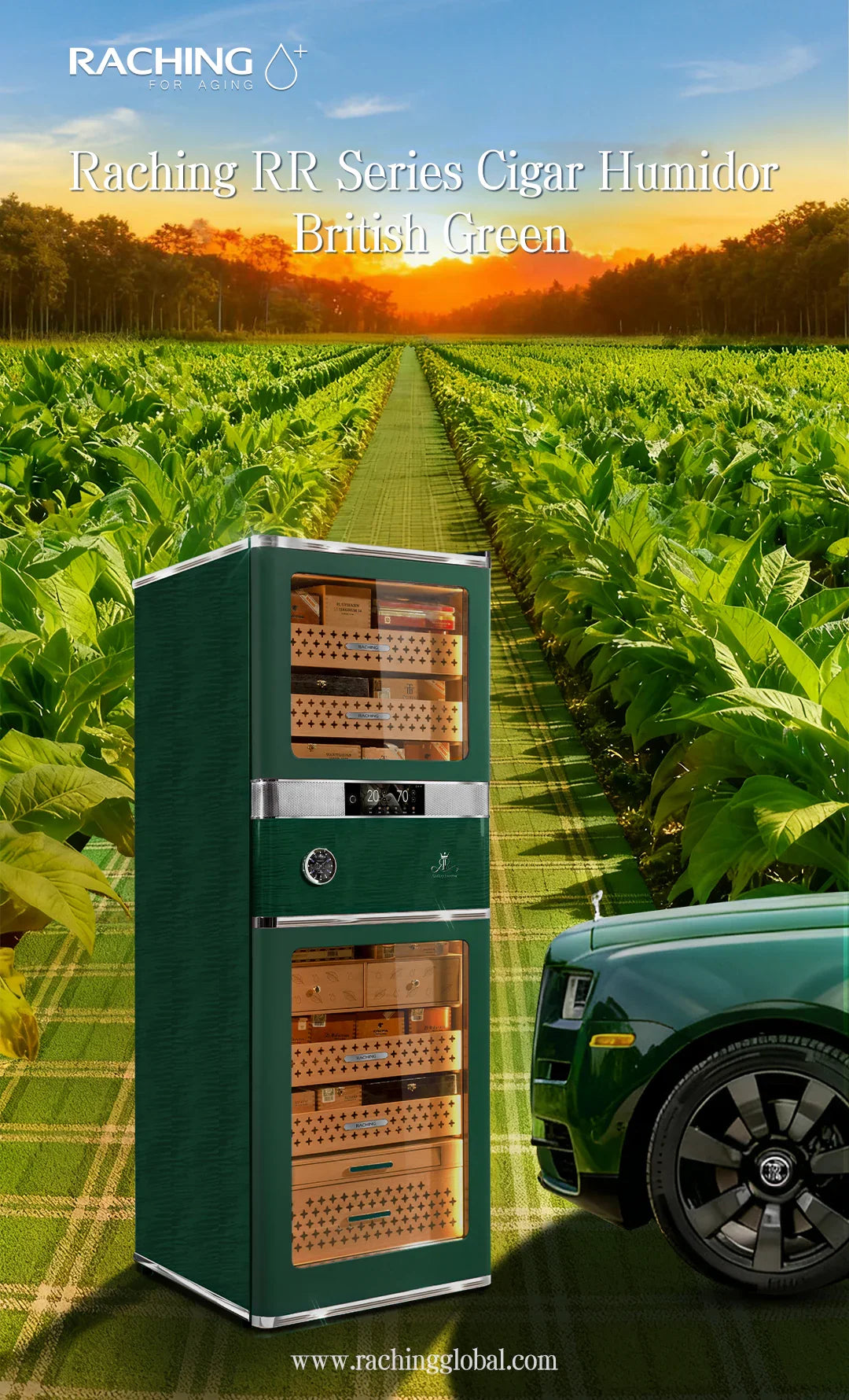 Raching RR980 luxury cigar humidor in British Green, at Cigar Inc, Woodland Hills