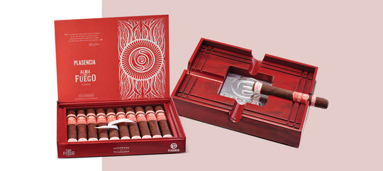 Plasencia Alma del Fuego Concepcion Toro (6 x 54)