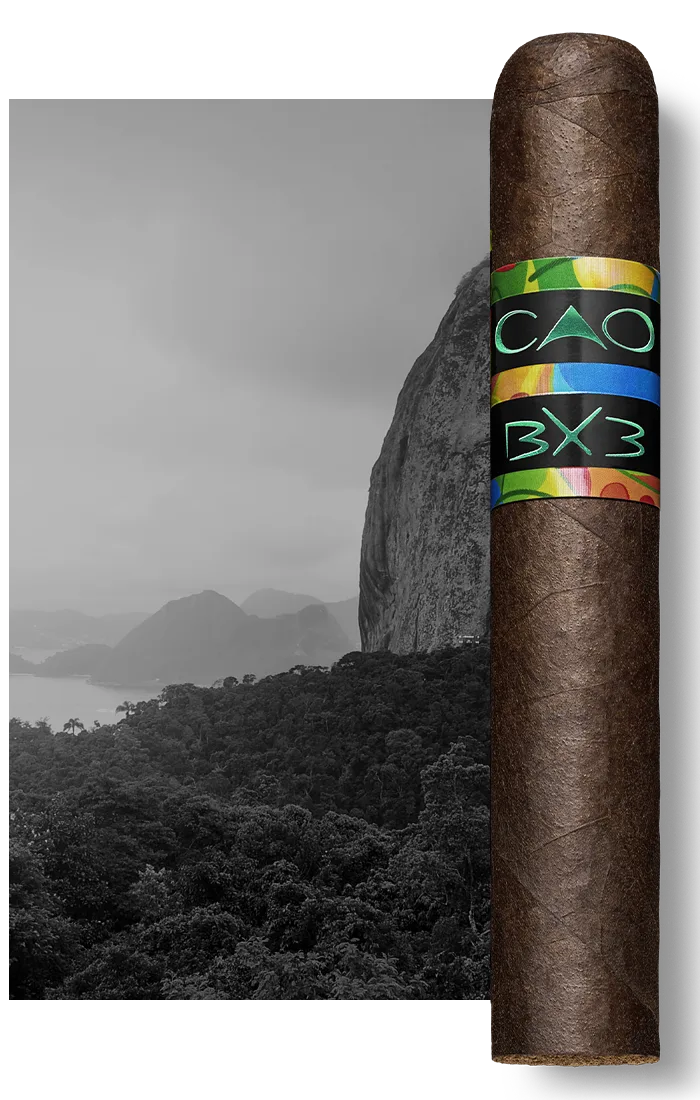 CAO - BX3