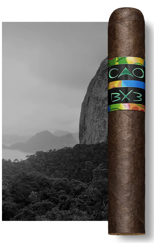 CAO - BX3