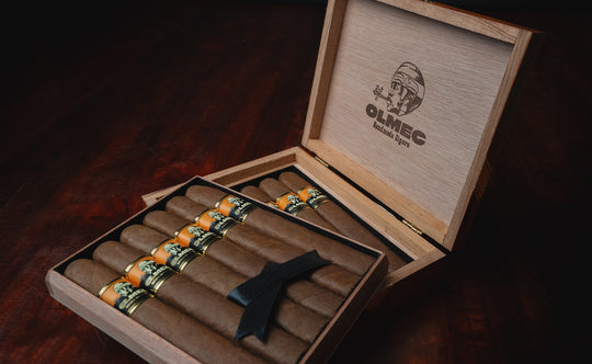 Foundation Olmec Maduro Robusto (5 x 50)