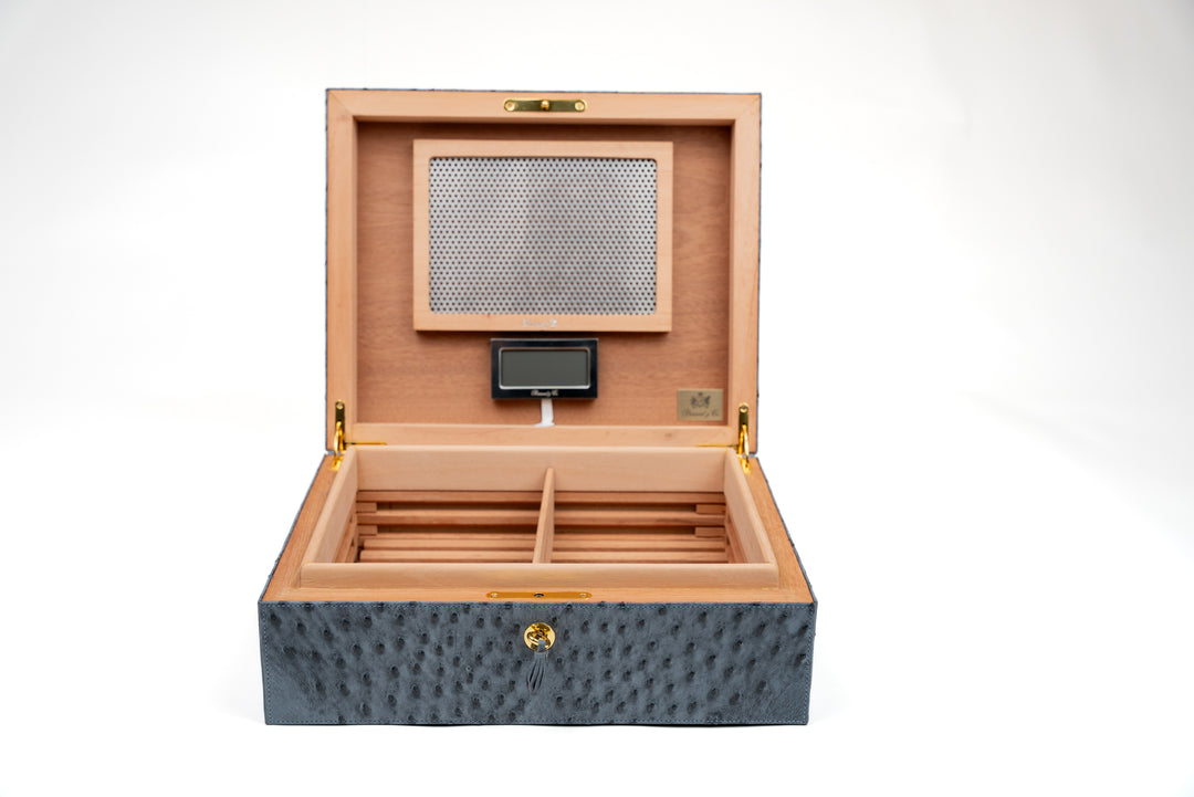 Brizard and Co Airflow desktop humidor, genuine ostrich Bruciato Denim in blue