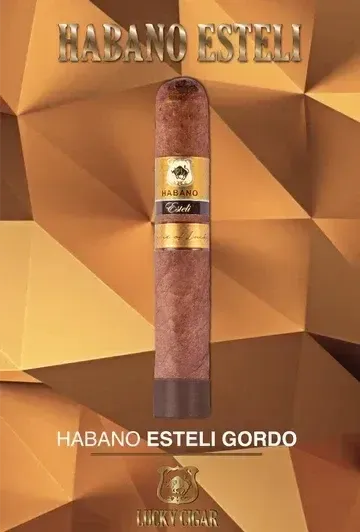 Habano Esteli Gordo - Single - Cigar Inc