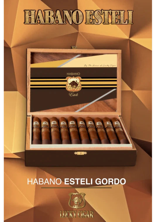 Lucky Cigar - HABANO ESTELI Gordo 6x60