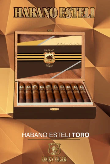 Lucky Cigar - HABANO ESTELI Toro 6x50