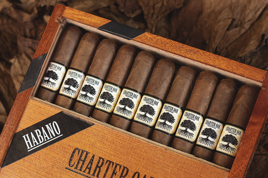 Foundation Charter Oak Habano Toro (6 x 52)