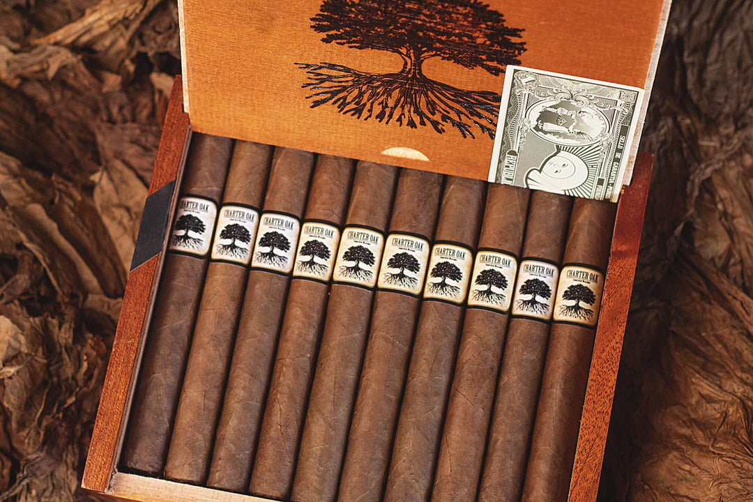 Foundation Charter Oak Habano Toro (6 x 52)