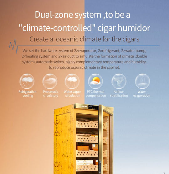 Raching MON3800 dual-zone climate control system