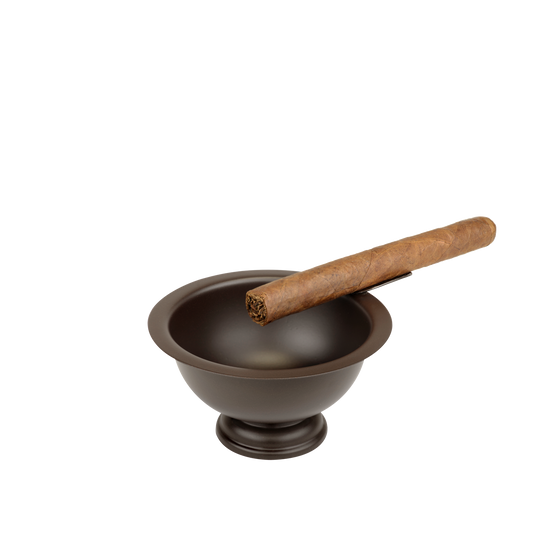 Stinky Cigar Stinky Personal Ashtray in Brown - view 2