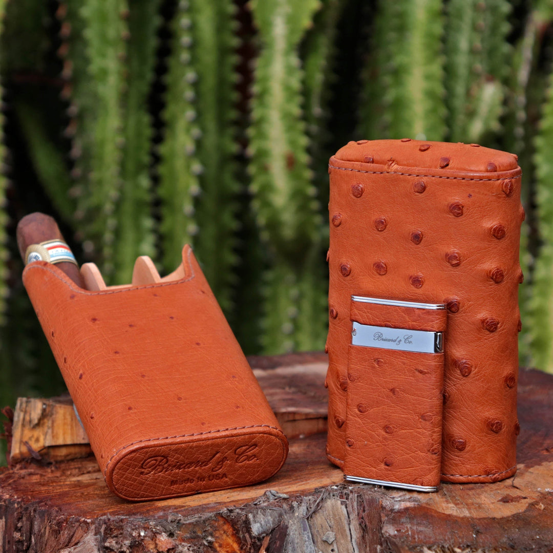 Brizard and Co - The "Show Band" 3 Cigar Case - Ostrich Cognac (Ostrich)