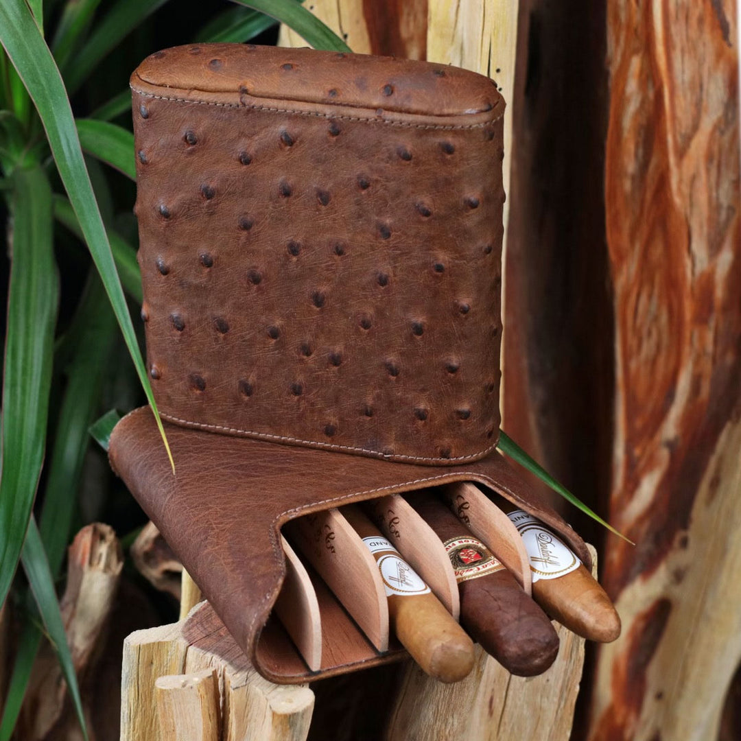 Brizard and Co - The "Show Band" 5 Cigar Case - Ostrich Antique Saddle (Ostrich)