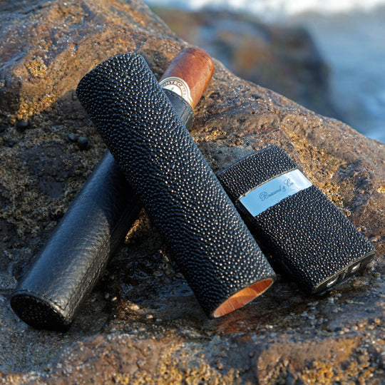 Brizard and Co - The Single Cigar Tube - Stingray (Stingray)
