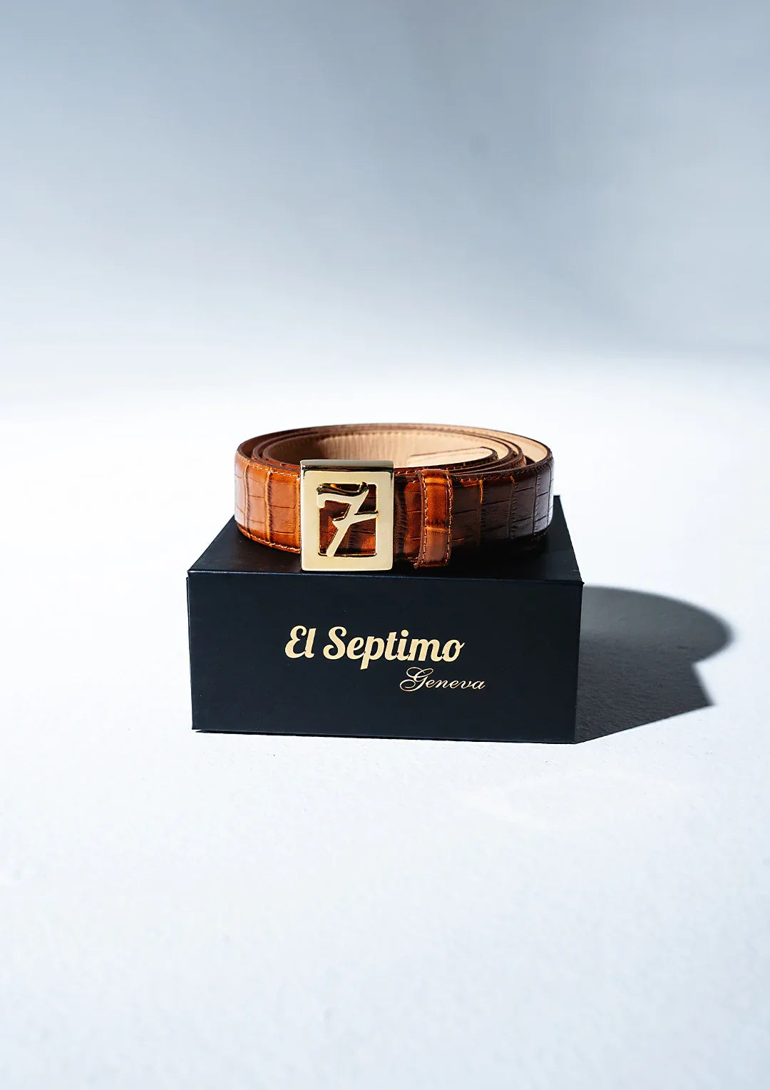 El-Septimo - Crocodile Embossed Belt - Cigar Inc