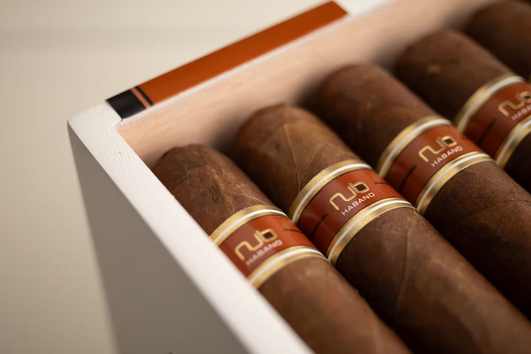 Nub Habano Gordo (4 x 60)