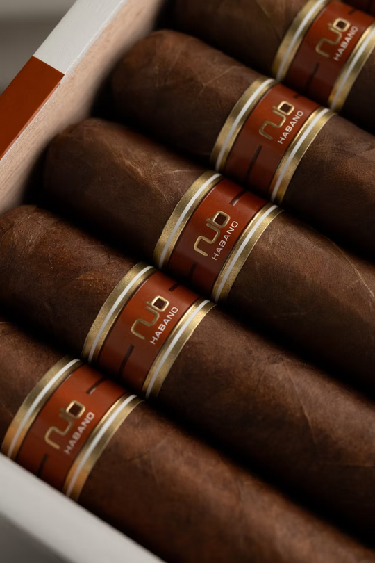 Nub Habano Super Gordo (4 x 66)