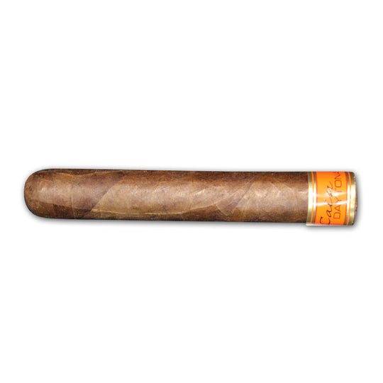Cain Daytona 5x50 cigar at Cigar Inc Los Angeles