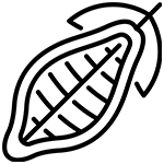 Cocoa